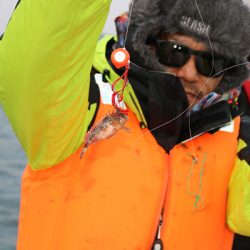 松本釣船２ 釣果