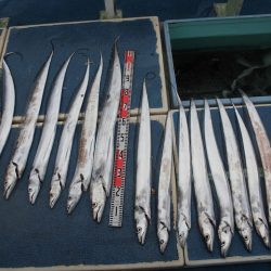 十八宝洋丸 釣果