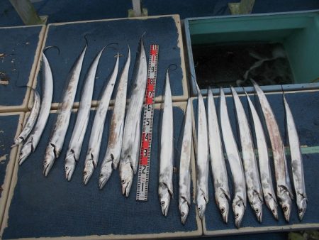 十八宝洋丸 釣果