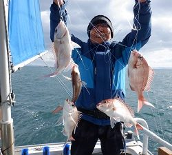 遊漁船 幸友丸 釣果