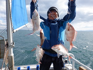 遊漁船 幸友丸 釣果
