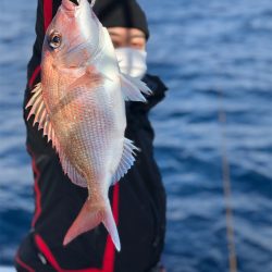 シーマン 釣果