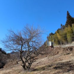 小菅トラウトガーデン 釣果