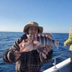 ブルーピア 釣果