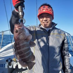 ブルーピア 釣果