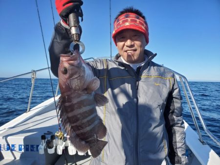 ブルーピア 釣果