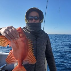 ブルーピア 釣果