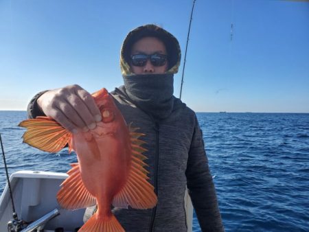 ブルーピア 釣果