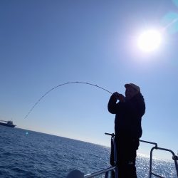 フィッシングボートACE(エース) 釣果