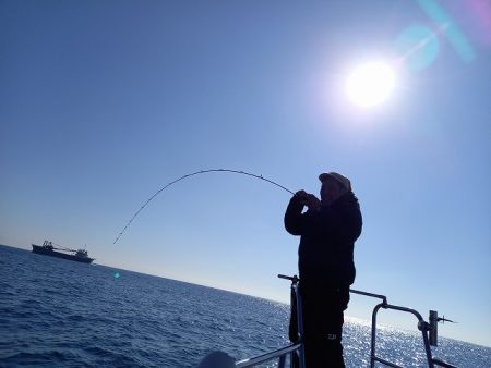 フィッシングボートACE(エース) 釣果