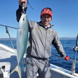 ブルーピア 釣果