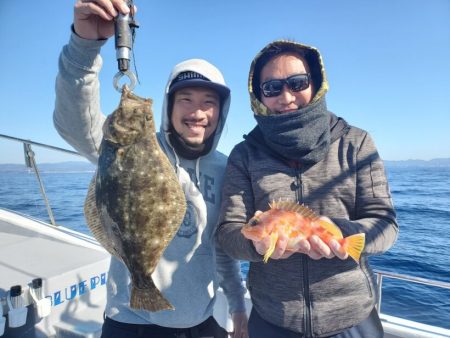 ブルーピア 釣果