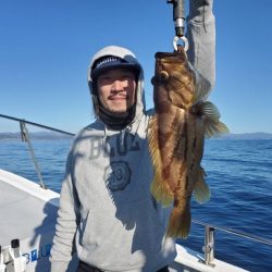 ブルーピア 釣果