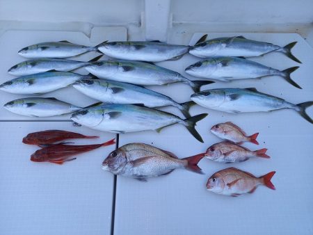 フィッシングボートACE（エース） 釣果