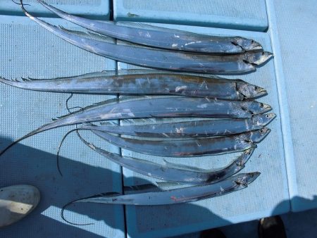 十八宝洋丸 釣果