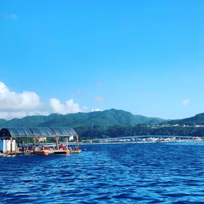 本部釣りイカダ 釣果