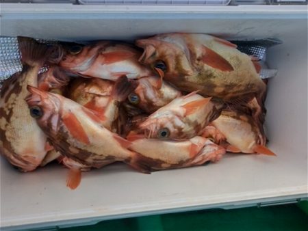 モンロー号 釣果