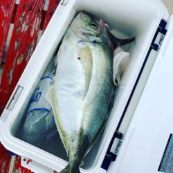 本部釣りイカダ 釣果