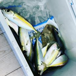 本部釣りイカダ 釣果