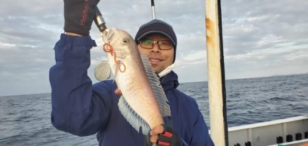 ブルーピア 釣果