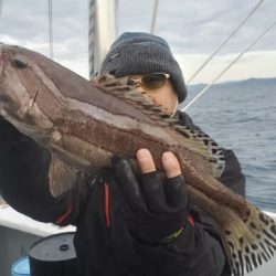 ブルーピア 釣果