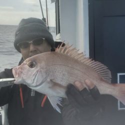 ブルーピア 釣果