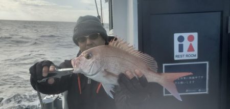 ブルーピア 釣果