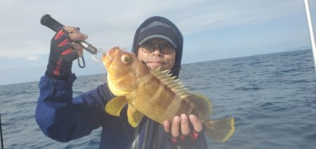 ブルーピア 釣果