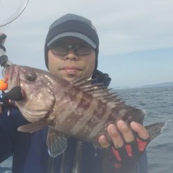 ブルーピア 釣果