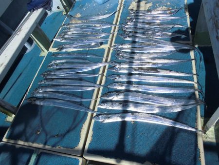 十八宝洋丸 釣果