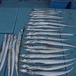 十八宝洋丸 釣果