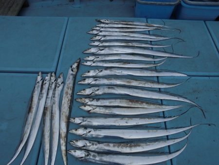 十八宝洋丸 釣果