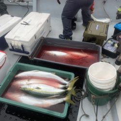 海龍丸(福岡) 釣果