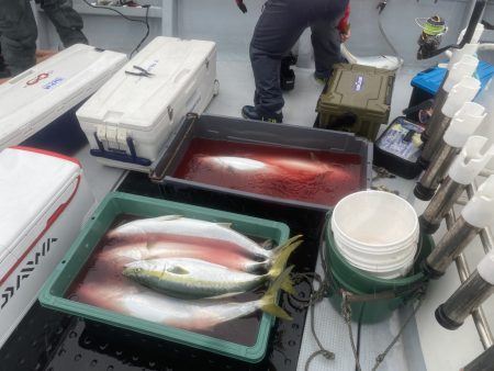 海龍丸(福岡) 釣果