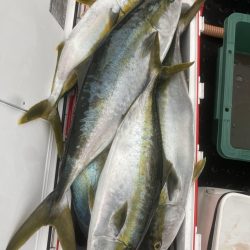 海龍丸(福岡) 釣果