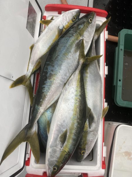 海龍丸(福岡) 釣果