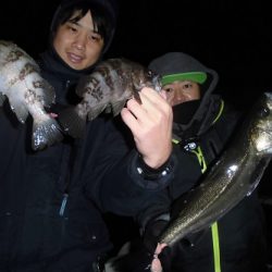 ルアー船マヒマヒ 釣果