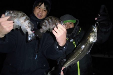 ルアー船マヒマヒ 釣果