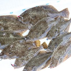 松本釣船２ 釣果