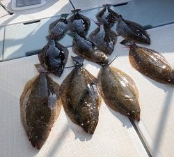 遊漁船 幸友丸 釣果