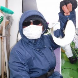 川崎丸 釣果