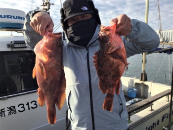 鯛紅丸 釣果
