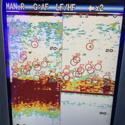 釣船 浦島太郎 釣果