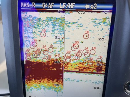 釣船 浦島太郎 釣果