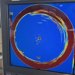 釣船 浦島太郎 釣果