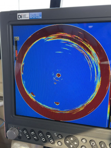 釣船 浦島太郎 釣果