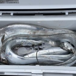 釣船 浦島太郎 釣果