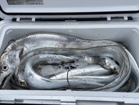 釣船 浦島太郎 釣果