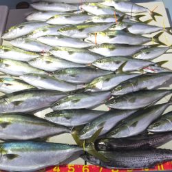 Hit Rush(ヒット ラッシュ） 釣果