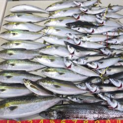 Hit Rush(ヒット ラッシュ) 釣果